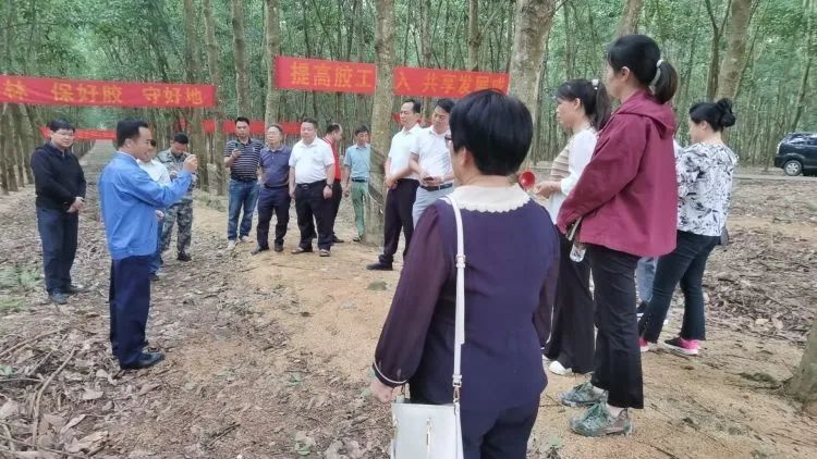 全国割胶冠军张健给各单元学员做尺度化胶园建设及割胶技术的经验介绍。.jpg