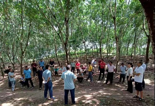 bevictor伟德官网-韦德官方网站
